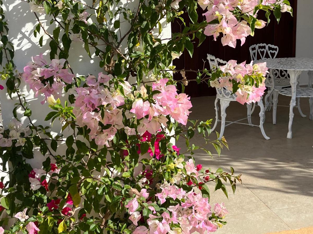 Villas Tikuch מראה חיצוני תמונה