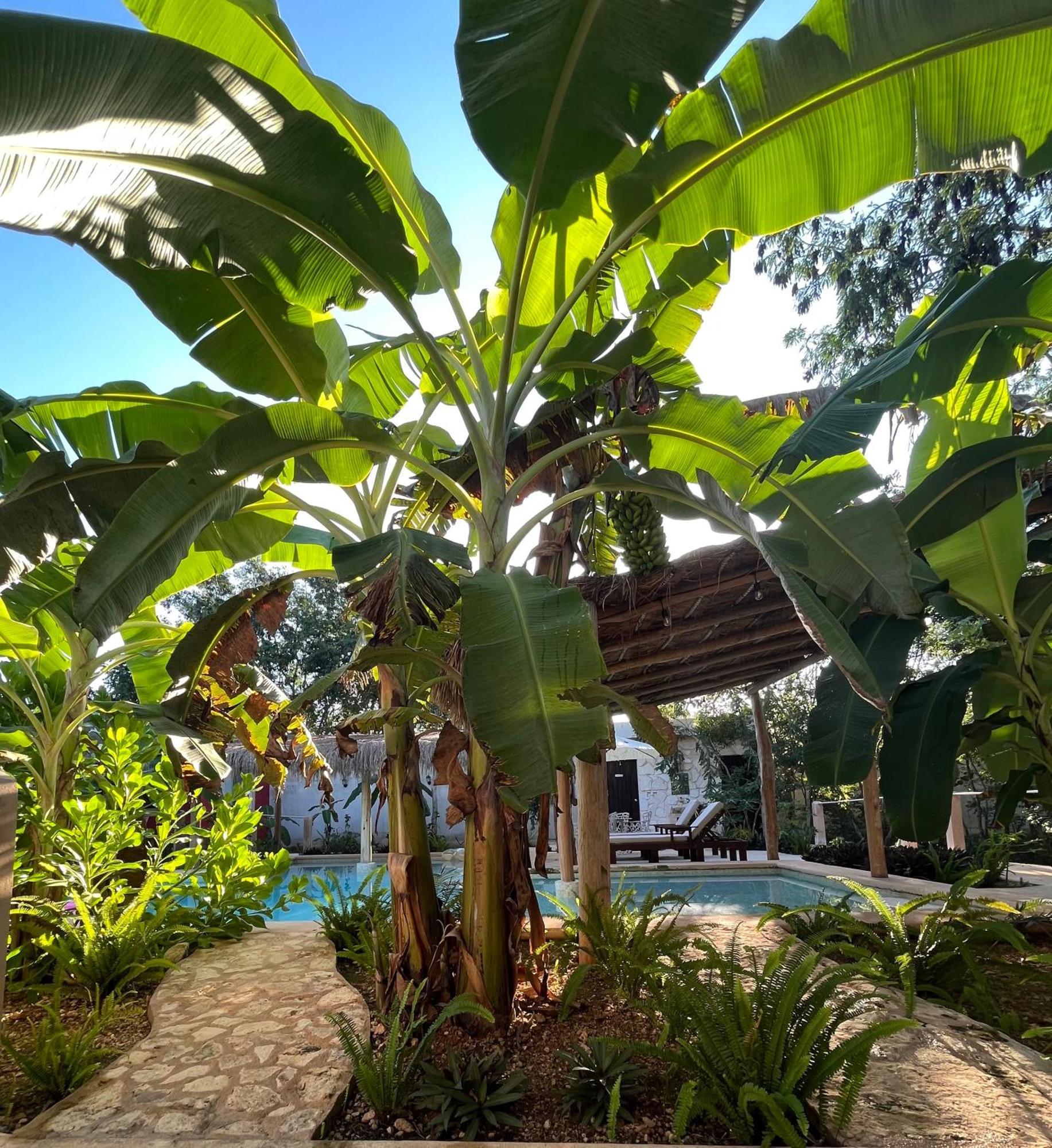 Villas Tikuch מראה חיצוני תמונה